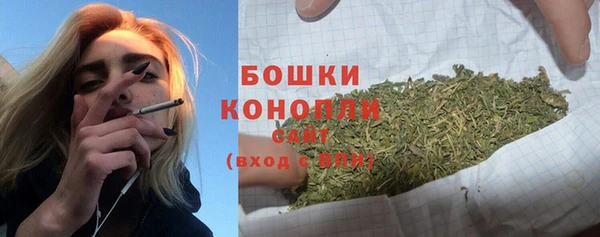 спиды Верея