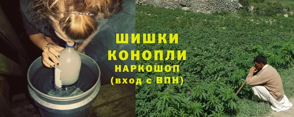 спиды Верея