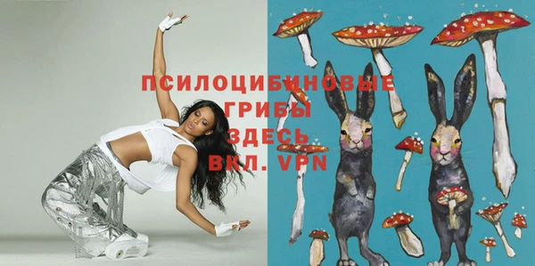 PSILOCYBIN Верхнеуральск