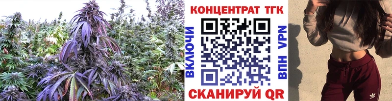 Купить где  Кунгур  ТГК вейп с тгк 