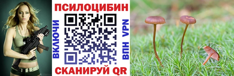 Галлюциногенные грибы MAGIC MUSHROOMS  Купить закладки  Кунгур 